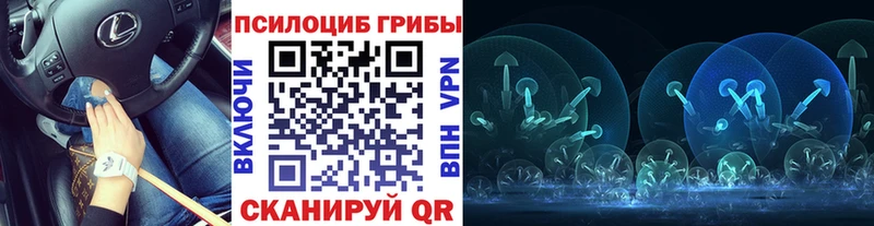 наркота  Каргат  Галлюциногенные грибы Cubensis 